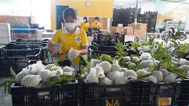 De nombreuses entreprises égyptiennes s intéressent aux marchandises vietnamiennes